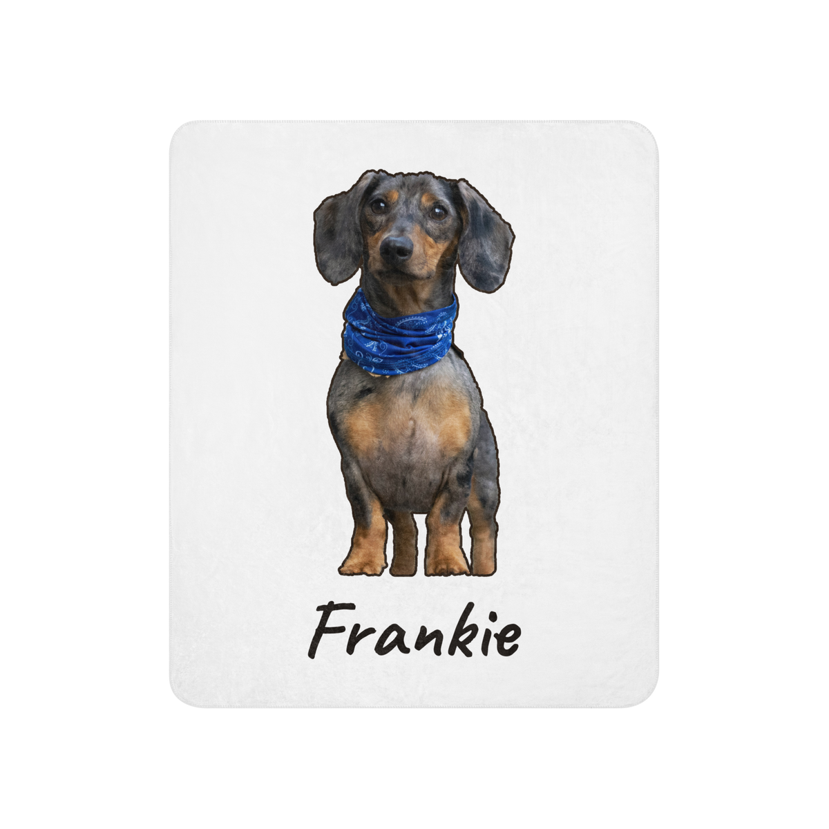 Custom pet photo sherpa blanket with a dachshund printed on the front, dog dad gift