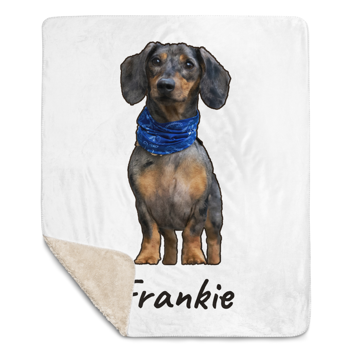Personalized dachshund photo blanket laid flat on a bed, cozy keepsake gift for doxie owners