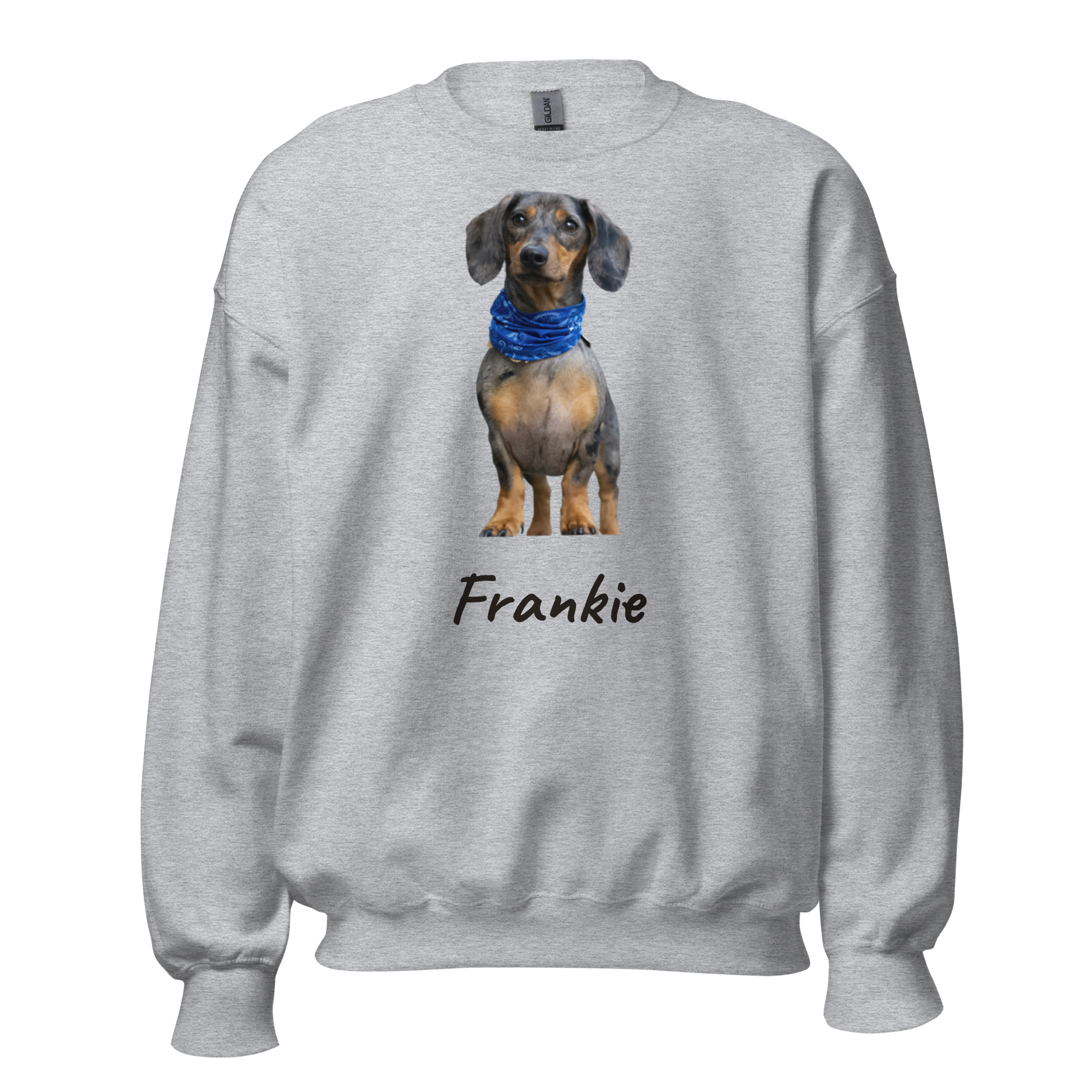 Custom pet photo sweatshirt - dachshund printed on Sport Grey crewneck with the name Frankie, front view