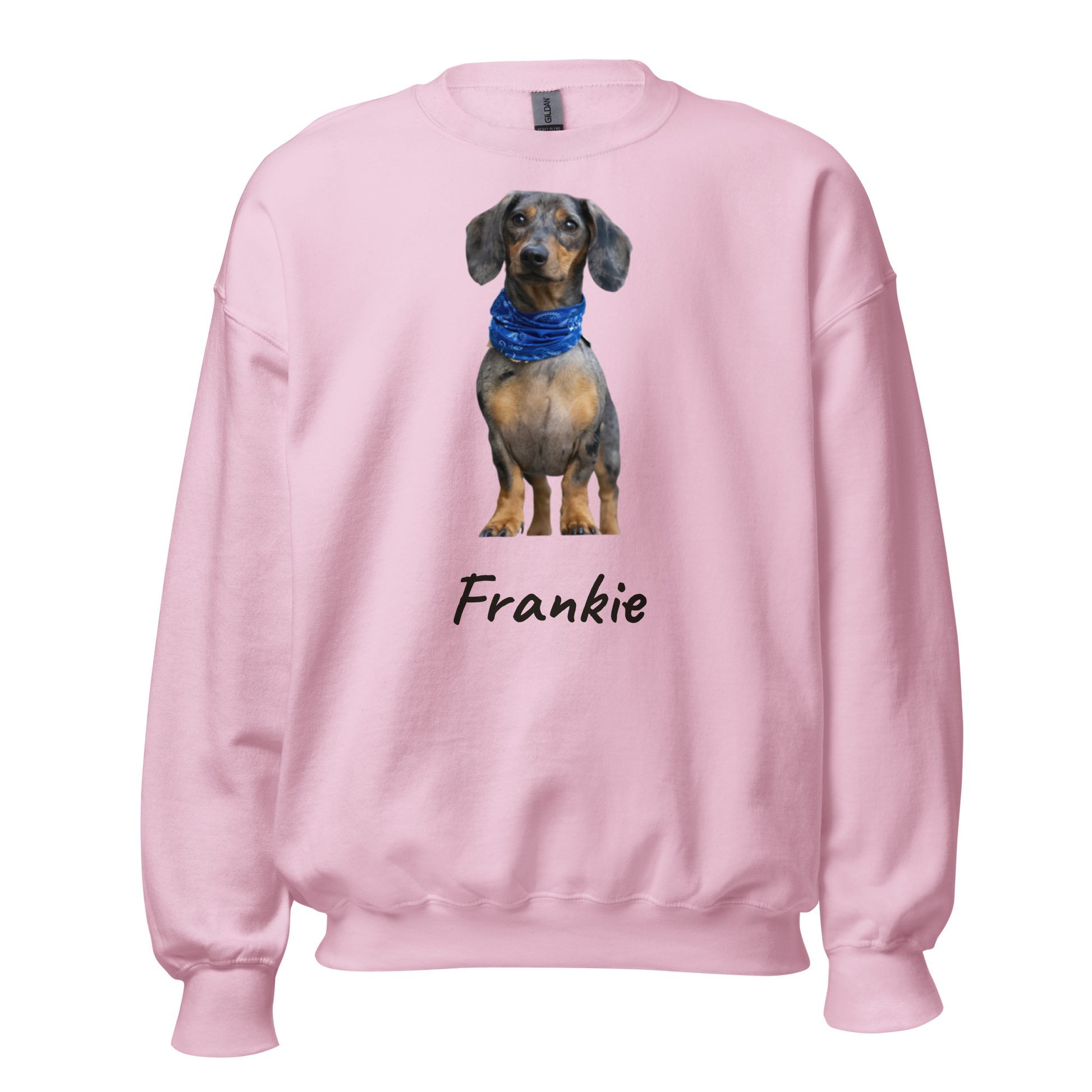 Personalized dog photo sweatshirt on Light Pink crewneck with the pet name Frankie