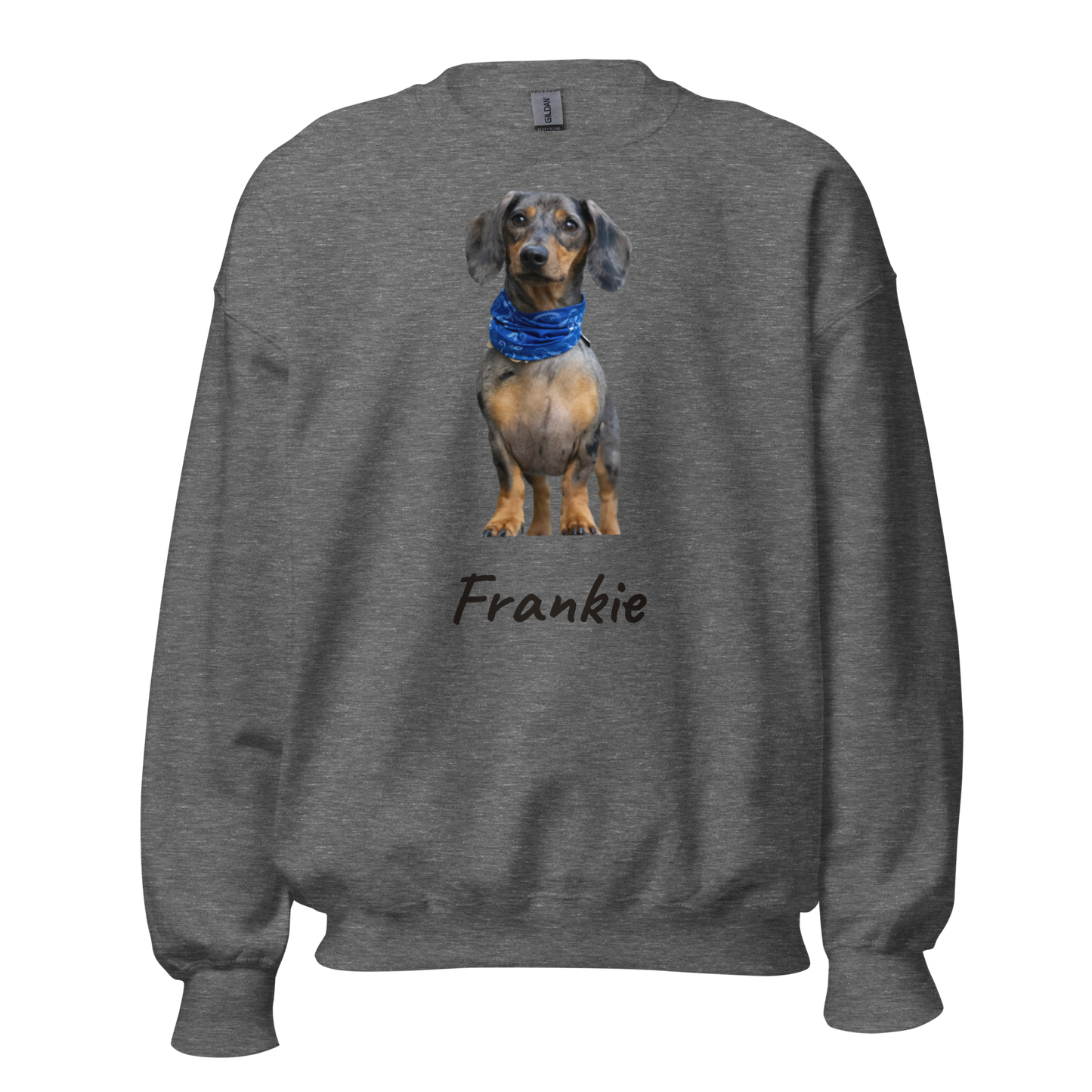 Custom dog portrait sweatshirt on Graphite Heather grey crewneck, dachshund named Frankie