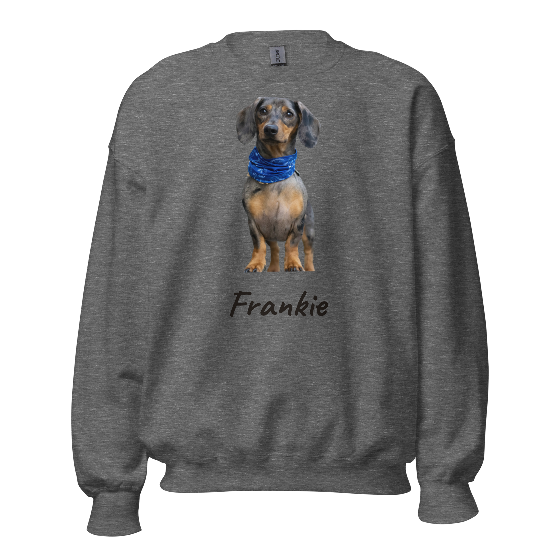 Custom dog portrait sweatshirt on Graphite Heather grey crewneck, dachshund named Frankie