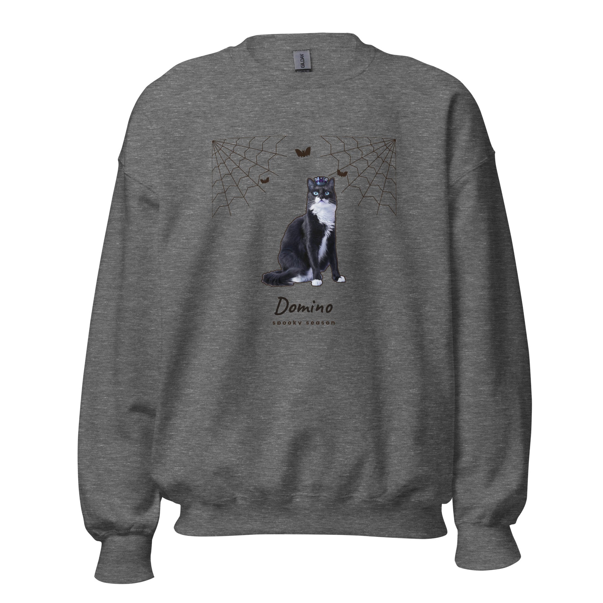 Custom pet Halloween sweatshirt in Graphite Heather, tuxedo cat framed by hand-drawn cobwebs with his name